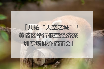 共拓“天空之城”！黄陂区举行低空经济深圳专场推介招商会