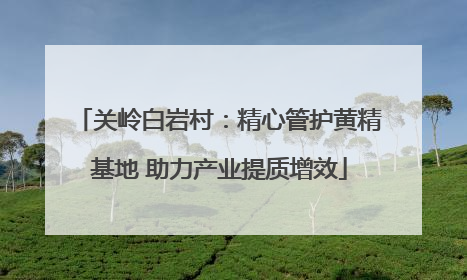关岭白岩村：精心管护黄精基地 助力产业提质增效