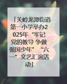 关岭龙潭街道第一小学举办2025年“牢记党的教导 争做强国少年”“六一”文艺汇演活动