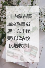内蒙古鄂温克族自治旗：以工代赈托起农牧民增收梦