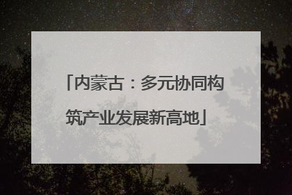 内蒙古：多元协同构筑产业发展新高地