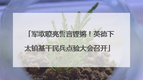 军歌嘹亮誓言铿锵！英德下太镇基干民兵点验大会召开