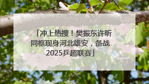 冲上热搜！樊振东许昕同框现身河北雄安，备战2025乒超联赛