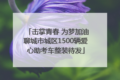 击掌青春 为梦加油 聊城市城区1500辆爱心助考车整装待发