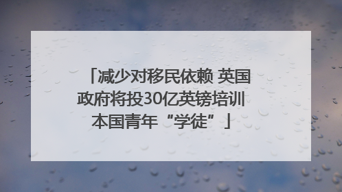 减少对移民依赖 英国政府将投30亿英镑培训本国青年“学徒”