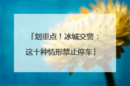划重点！冰城交警：这十种情形禁止停车