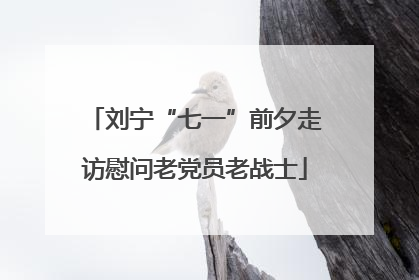 刘宁“七一”前夕走访慰问老党员老战士
