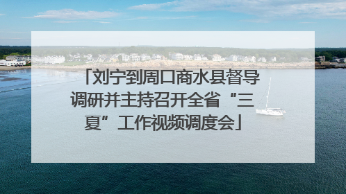刘宁到周口商水县督导调研并主持召开全省“三夏”工作视频调度会