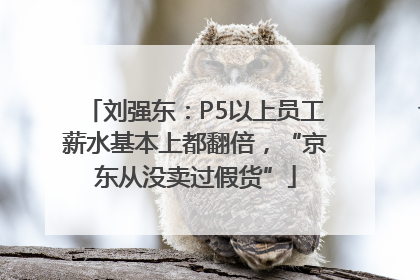刘强东：P5以上员工薪水基本上都翻倍，“京东从没卖过假货”