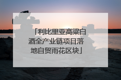 利比里亚高粱白酒全产业链项目落地自贸雨花区块