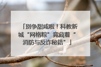 别争甜咸啦！科教新城“网格粽”竟藏着“消防与反诈秘籍”