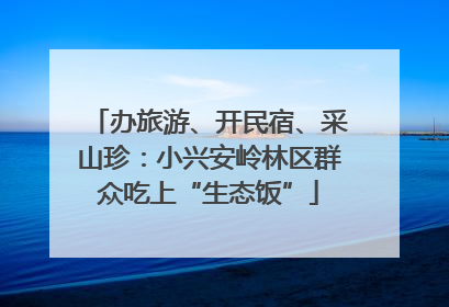 办旅游、开民宿、采山珍：小兴安岭林区群众吃上“生态饭”