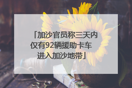 加沙官员称三天内仅有92辆援助卡车进入加沙地带