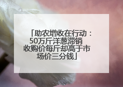 助农增收在行动：50万斤洋葱滞销 收购价每斤却高于市场价三分钱