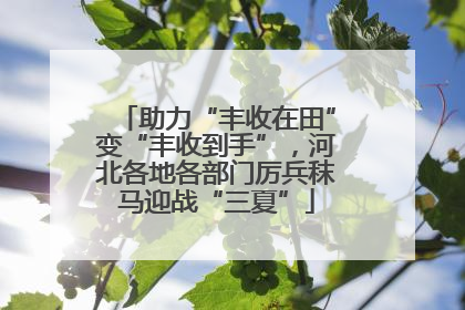 助力“丰收在田”变“丰收到手”，河北各地各部门厉兵秣马迎战“三夏”
