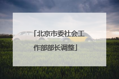 北京市委社会工作部部长调整