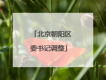 北京朝阳区委书记调整