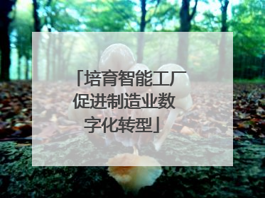 培育智能工厂 促进制造业数字化转型