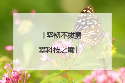 坚韧不拔勇攀科技之巅