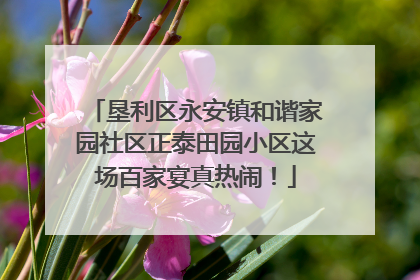垦利区永安镇和谐家园社区正泰田园小区这场百家宴真热闹！