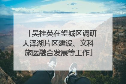 吴桂英在望城区调研大泽湖片区建设、文科旅医融合发展等工作