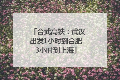 合武高铁：武汉出发1小时到合肥3小时到上海