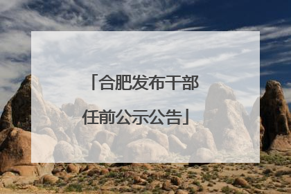合肥发布干部任前公示公告