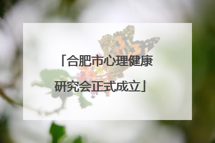 合肥市心理健康研究会正式成立
