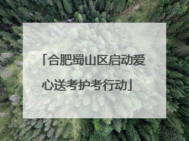 合肥蜀山区启动爱心送考护考行动