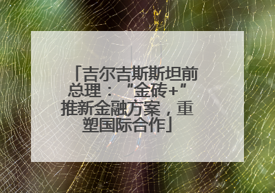 吉尔吉斯斯坦前总理：“金砖+”推新金融方案，重塑国际合作