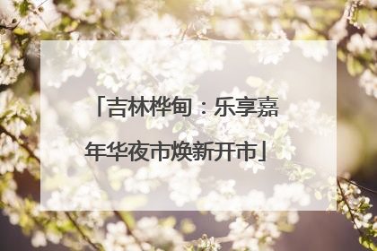 吉林桦甸：乐享嘉年华夜市焕新开市