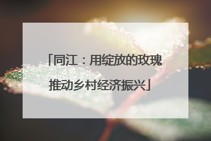 同江：用绽放的玫瑰 推动乡村经济振兴
