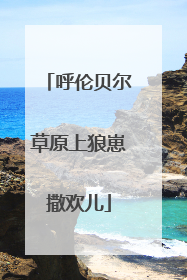 呼伦贝尔草原上狼崽撒欢儿