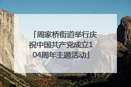 周家桥街道举行庆祝中国共产党成立104周年主题活动