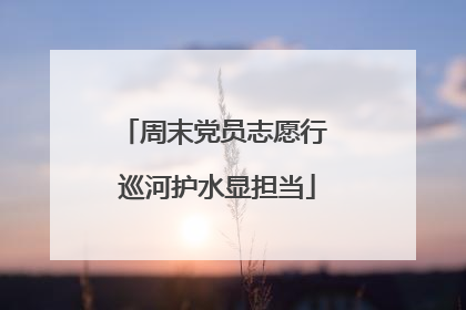 周末党员志愿行 巡河护水显担当