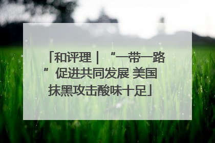 和评理｜“一带一路”促进共同发展 美国抹黑攻击酸味十足
