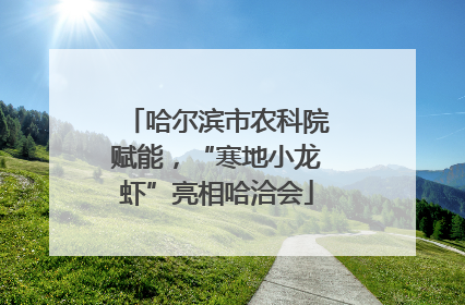 哈尔滨市农科院赋能，“寒地小龙虾”亮相哈洽会