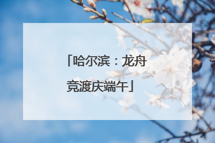 哈尔滨：龙舟竞渡庆端午