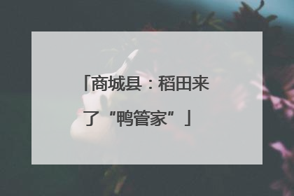 商城县：稻田来了“鸭管家”