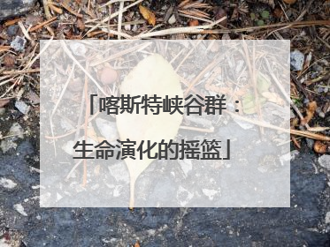 喀斯特峡谷群：生命演化的摇篮