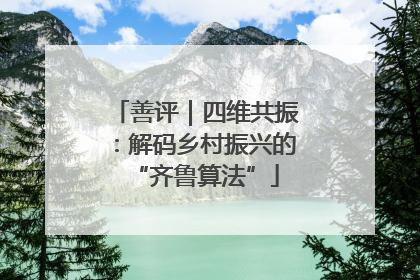 善评｜四维共振：解码乡村振兴的“齐鲁算法”
