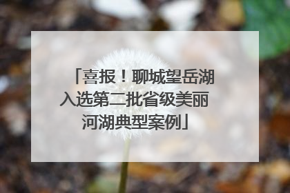 喜报！聊城望岳湖入选第二批省级美丽河湖典型案例