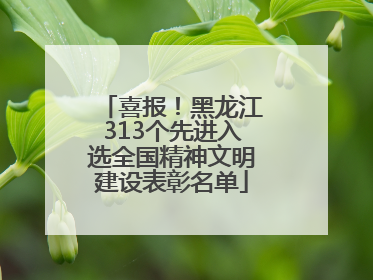 喜报！黑龙江313个先进入选全国精神文明建设表彰名单