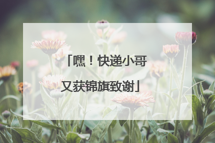 嘿！快递小哥又获锦旗致谢