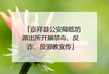 嘉祥县公安局纸坊派出所开展禁毒、反诈、反邪教宣传