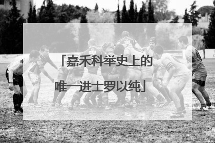 嘉禾科举史上的唯一进士罗以纯