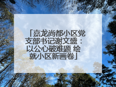 嘉龙尚都小区党支部书记谢文盛：以公心破难题 绘就小区新画卷