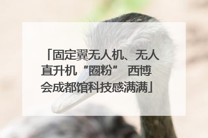 固定翼无人机、无人直升机“圈粉” 西博会成都馆科技感满满