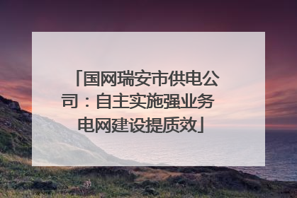 国网瑞安市供电公司：自主实施强业务 电网建设提质效