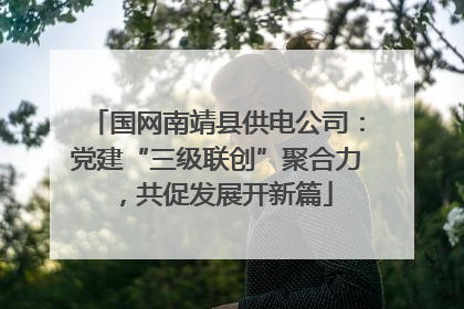 国网南靖县供电公司：党建“三级联创”聚合力，共促发展开新篇